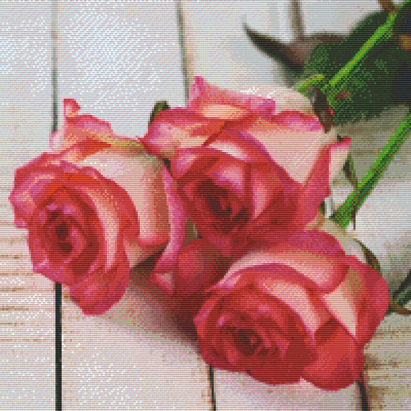 Pixelhobby Klassik Vorlage - Rosen