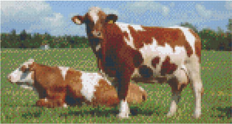 Pixel hobby classic template - two cows