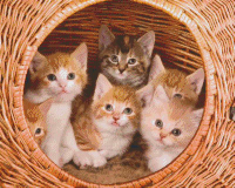 Pixelhobby classic set - baby cats