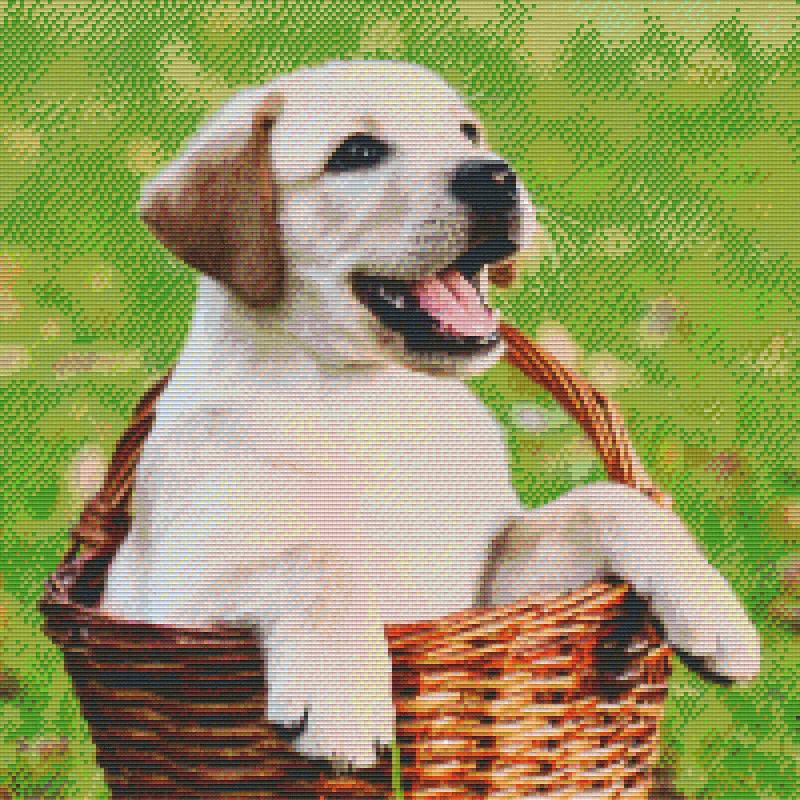 Pixelhobby Klassik Vorlage - Hundewelpe
