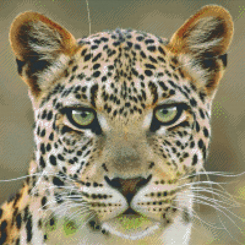 Pixelhobby Klassik Vorlage - Leopard