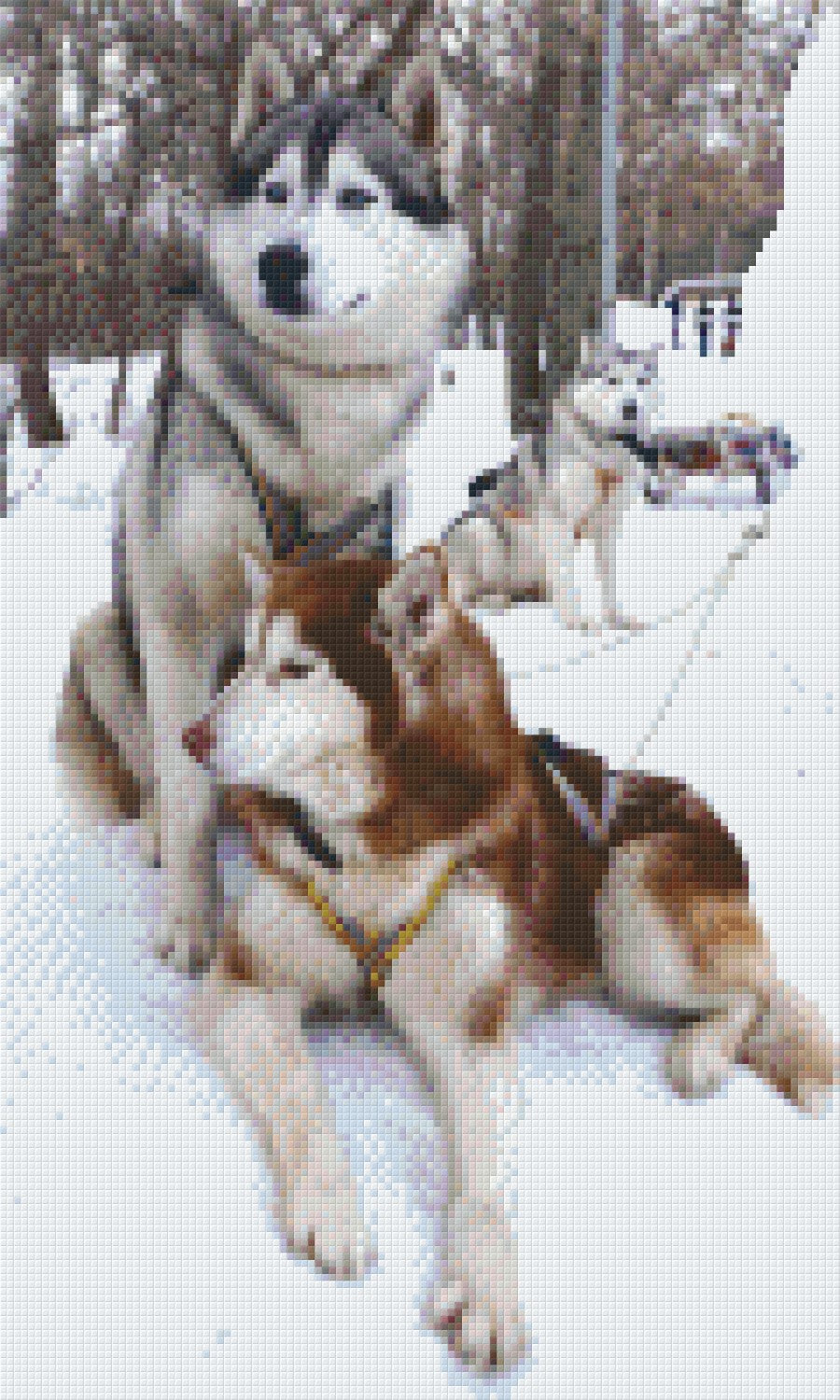 Pixelhobby Klassik Vorlage - Schlittenhunde