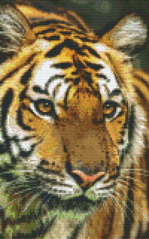 Pixelhobby Klassik Vorlage - Tiger