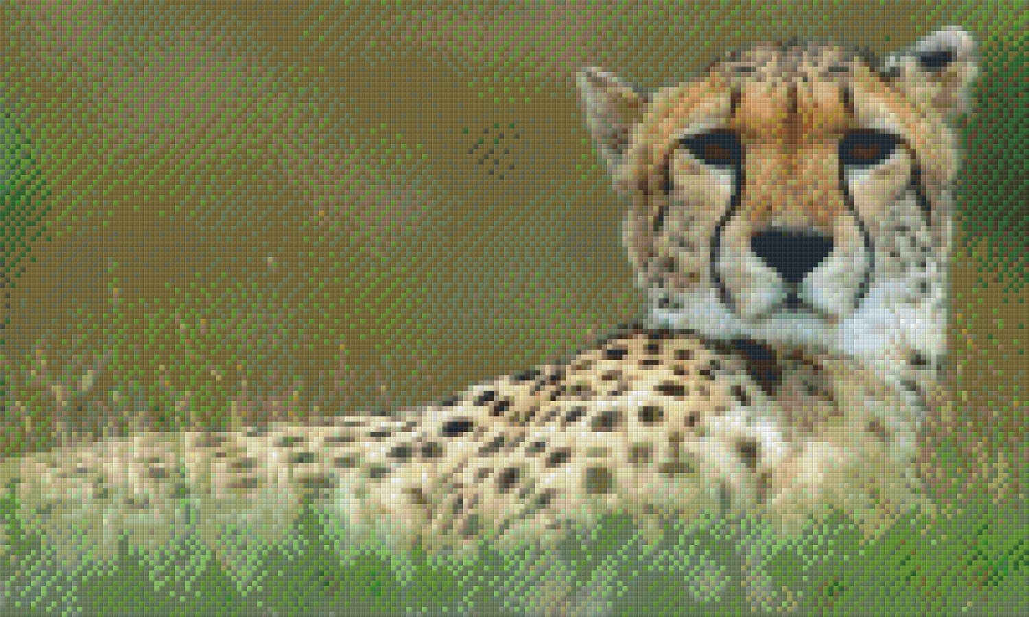 Pixelhobby Klassik Vorlage - Gepard