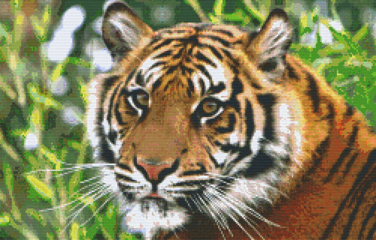 Pixelhobby Klassik Vorlage - Tiger