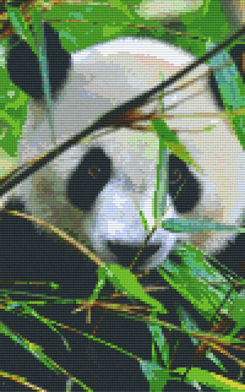 Pixelhobby Klassik Vorlage - Panda