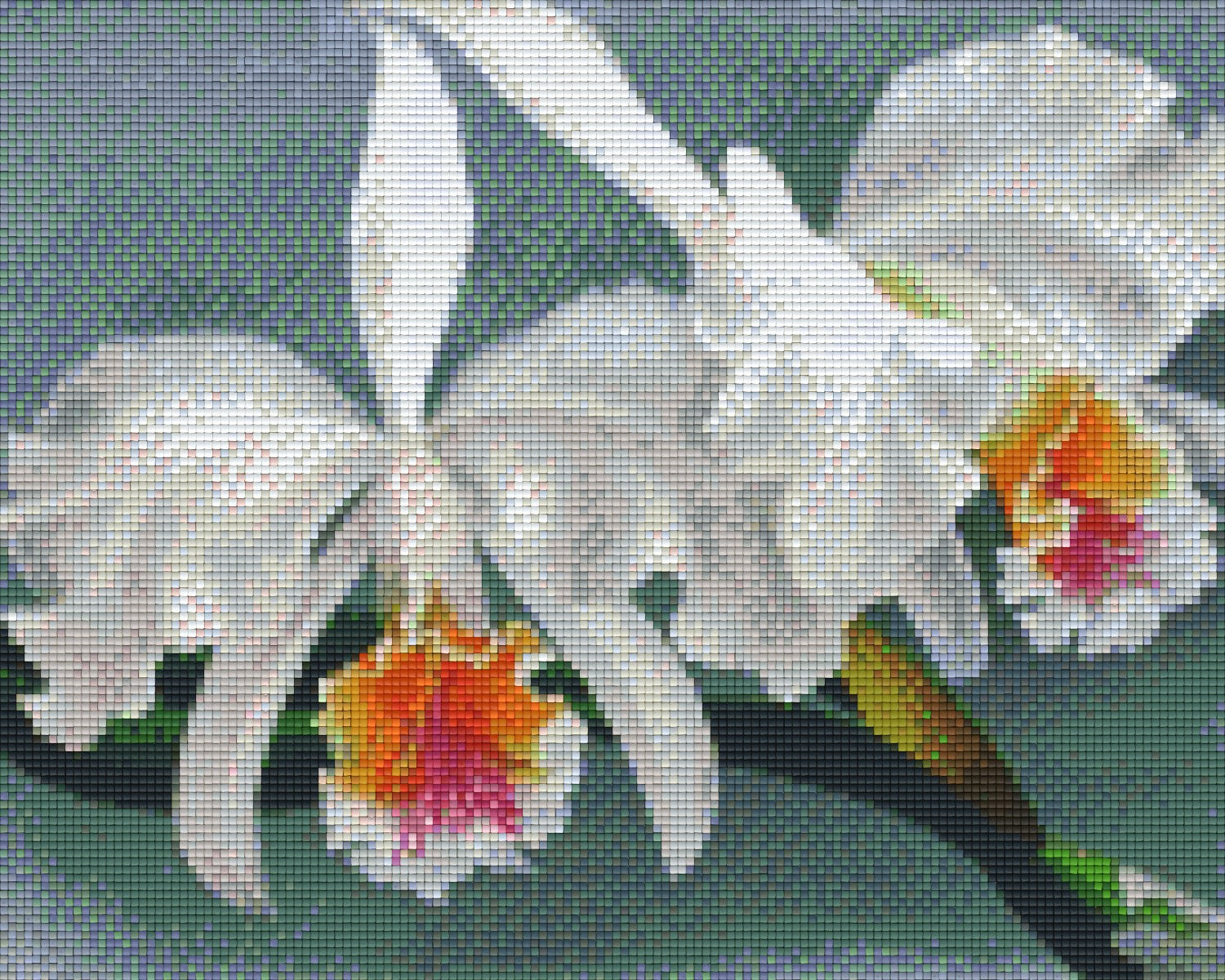 Pixelhobby Klassik Vorlage - Orchideen