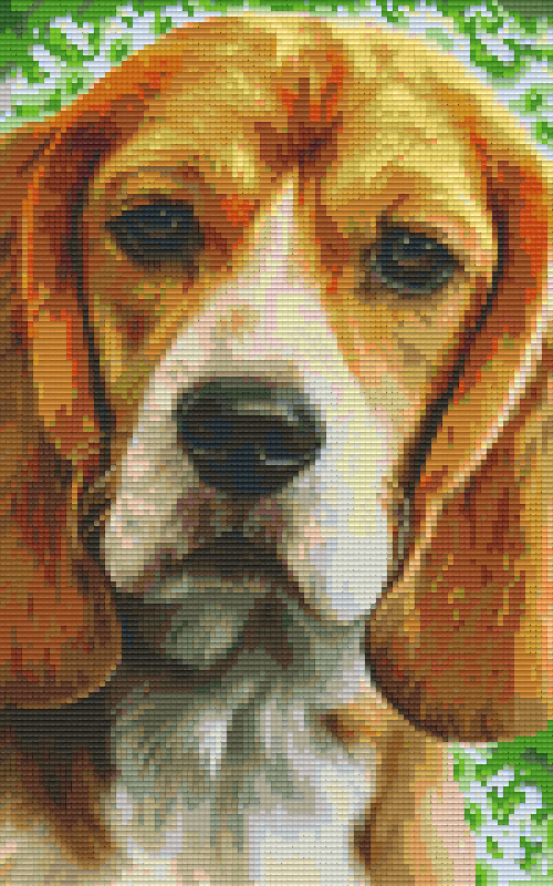 Pixelhobby Klassik Set - Beagle