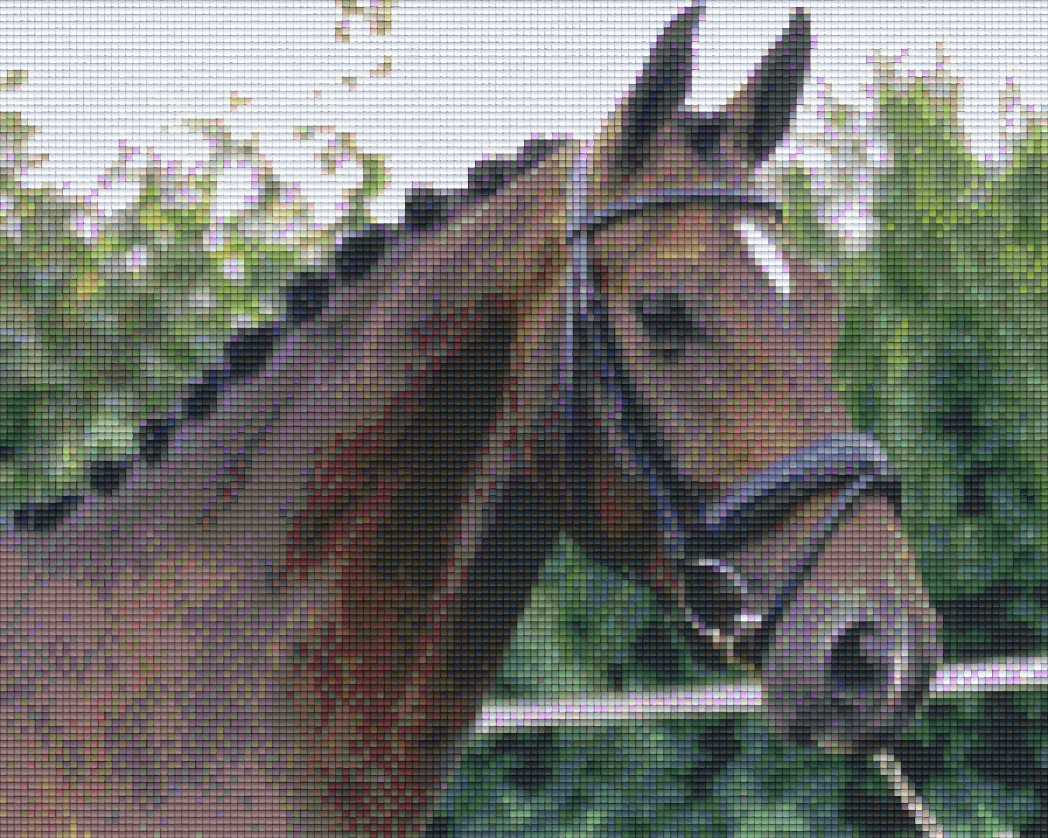 Pixelhobby Klassik Vorlage - Turnierpferd
