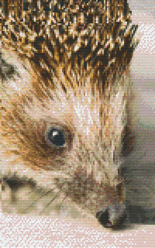 Pixelhobby Klassik Vorlage - Igel