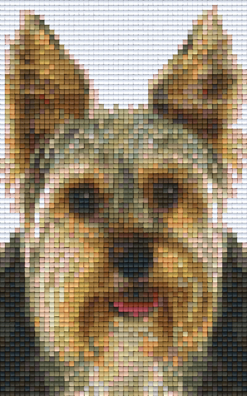 Pixelhobby Klassik Set - Yorkshire Terrier