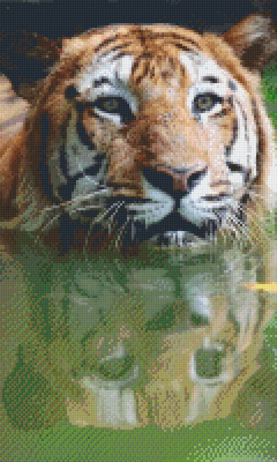 Pixelhobby Klassik Vorlage - Tiger im Wasser
