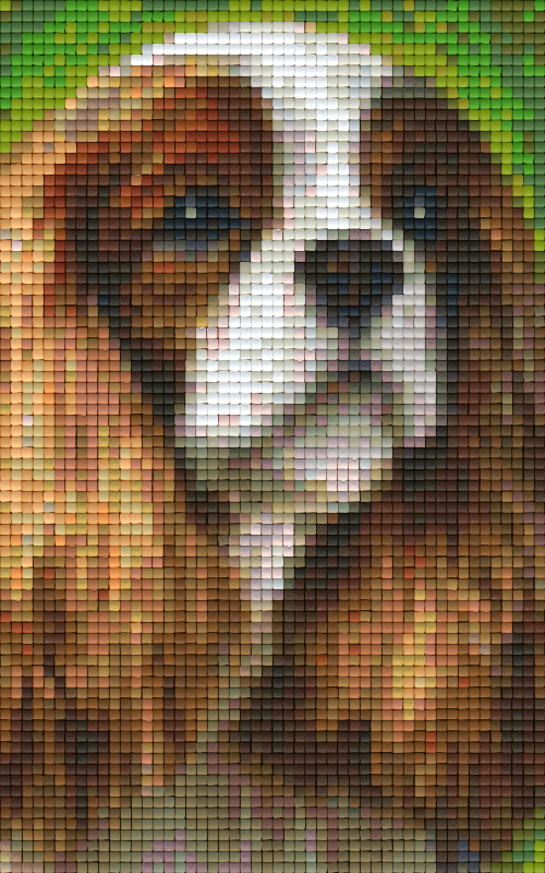Pixel hobby classic template - dog