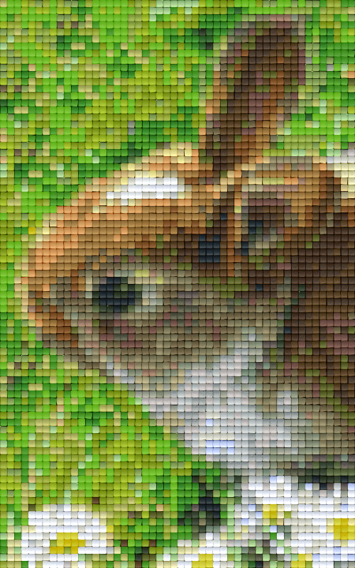 Pixel hobby classic set - rabbit