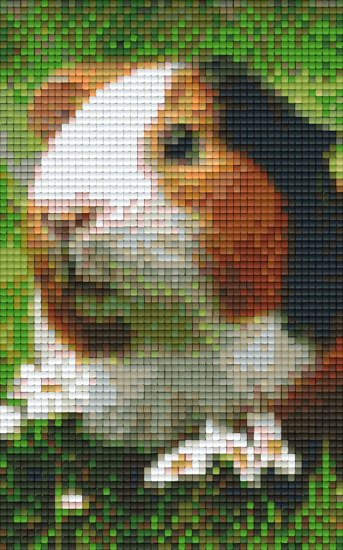 Pixelhobby Klassik Set - Meerschweinchen