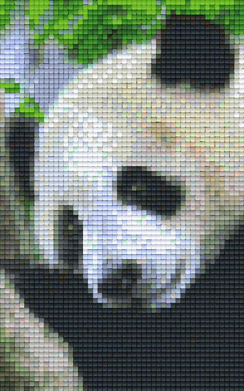 Pixel Hobby Classic Set - Panda
