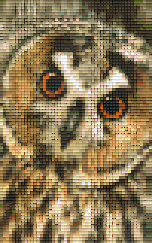 Pixel hobby classic template - owl