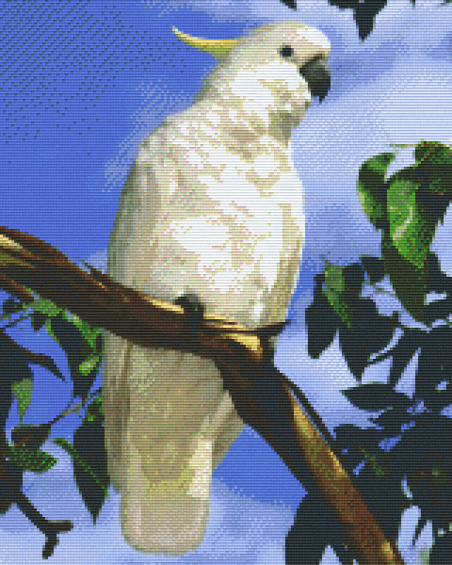 Pixelhobby Klassik Vorlage - Kakadu