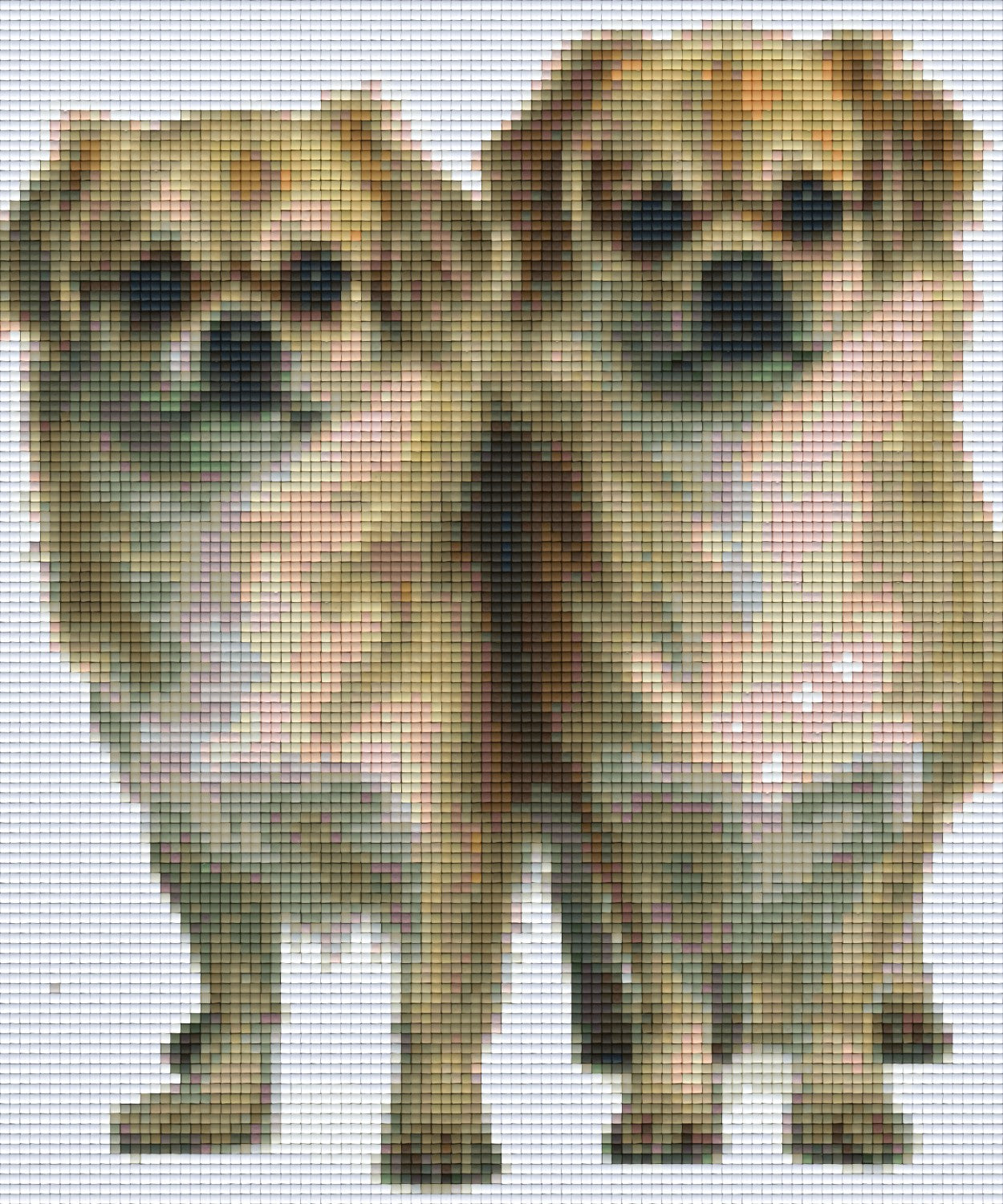 Pixelhobby Klassik Vorlage - Tibetische Spaniel
