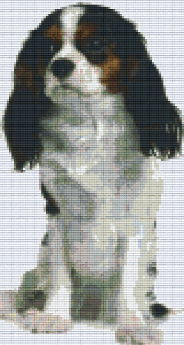 Pixelhobby Klassik Vorlage - Cavalier King Charles