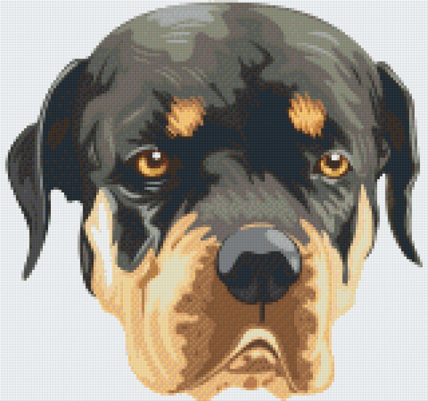 Pixelhobby Klassik Vorlage - Boxer