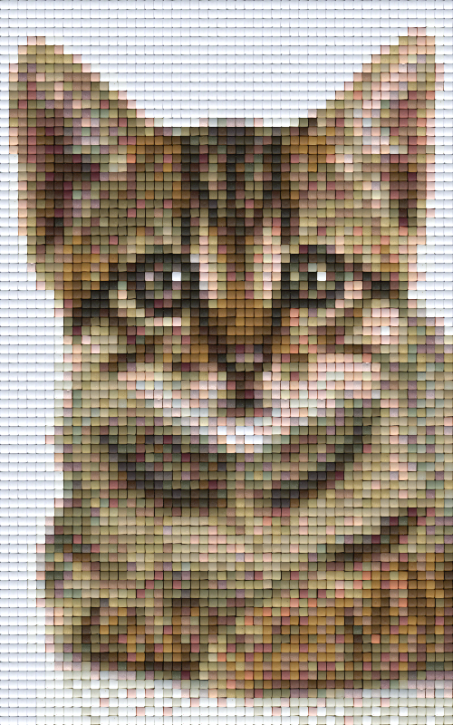 Pixel hobby classic set - cat
