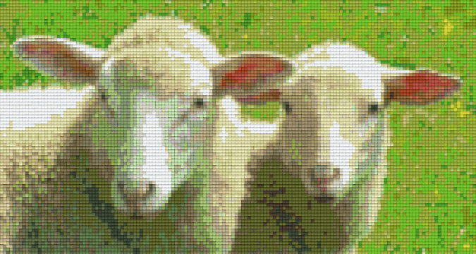 Pixelhobby Klassik Vorlage - Zwei Schafe