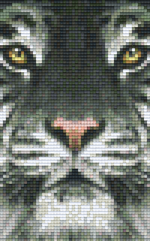 Pixel Hobby Classic Set - Tiger