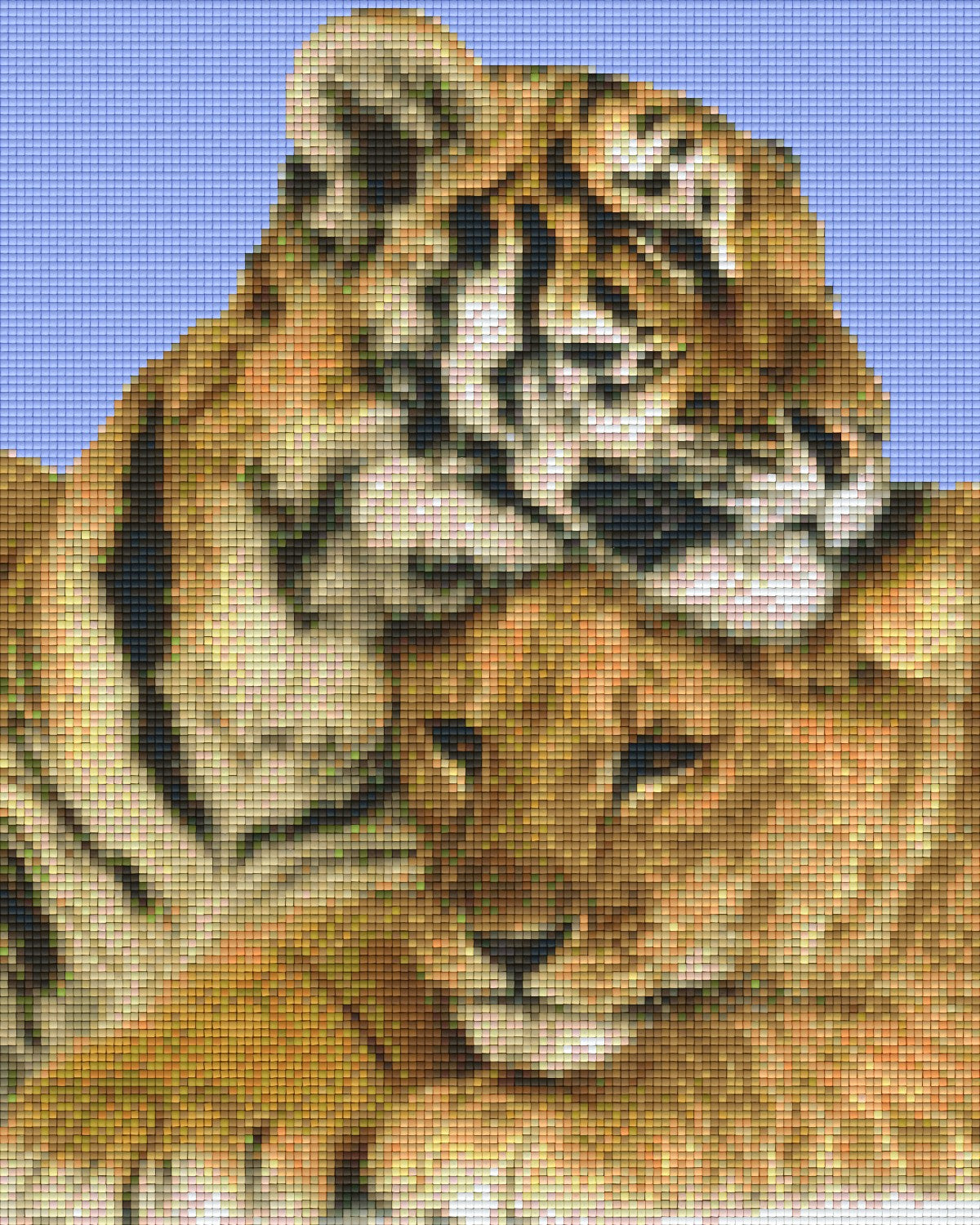Pixelhobby Klassik Vorlage - Tigerpaar