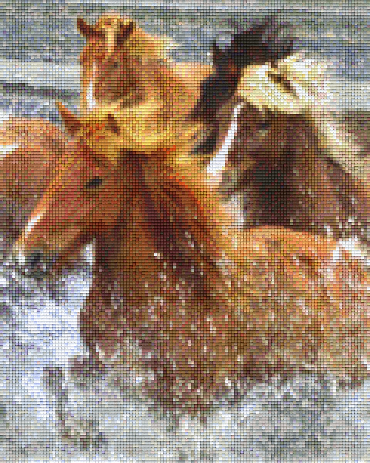 Pixelhobby Classic Set - Wild Horses