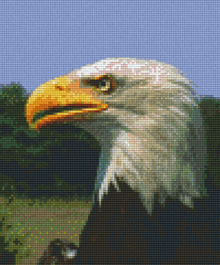 Pixel hobby classic set - eagle