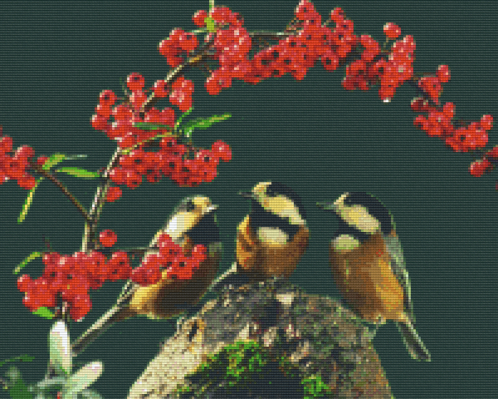Pixelhobby Klassik Vorlage - Drei kleine Vögel