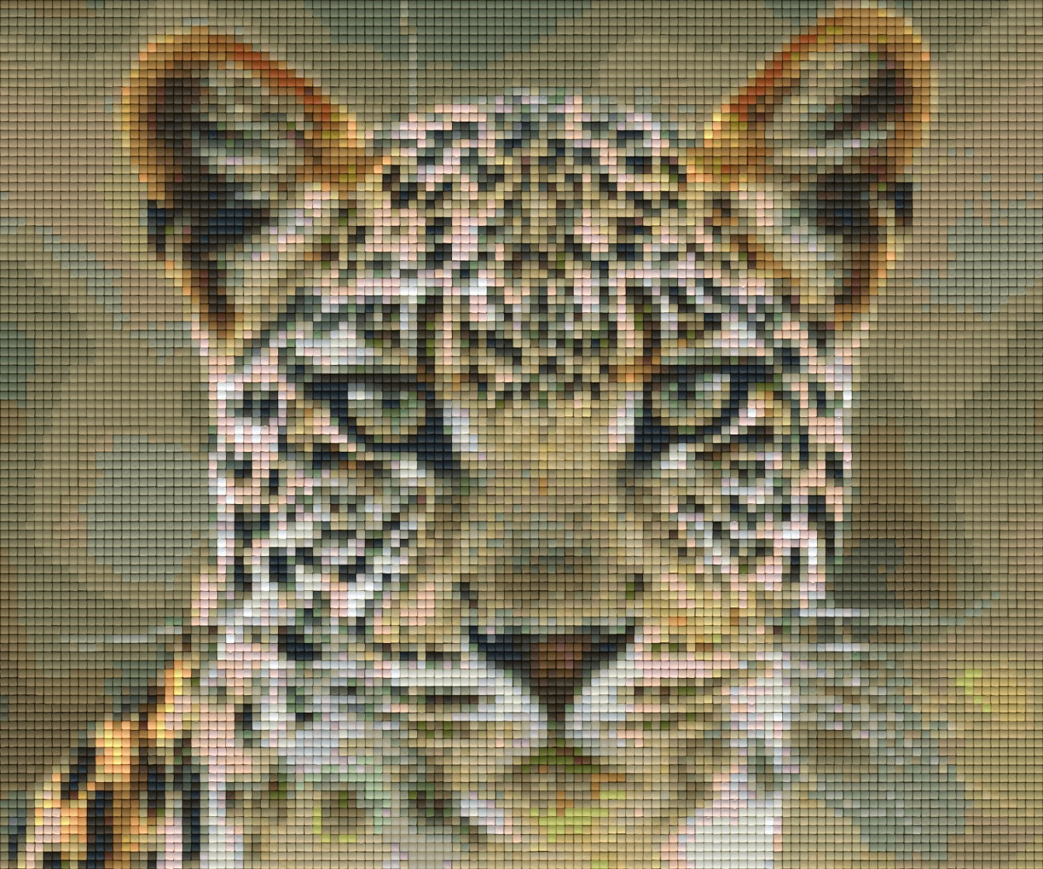 Pixelhobby Klassik Vorlage - Leopard