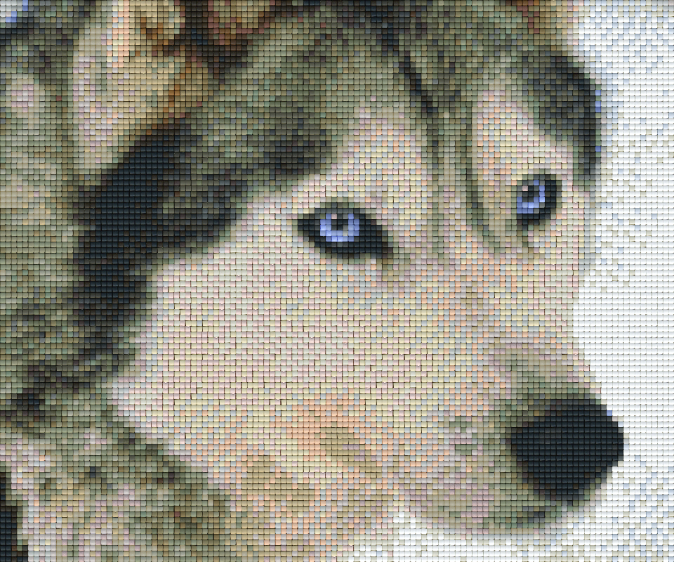 Pixelhobby Klassik Set - Husky