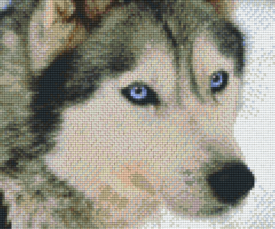 Pixelhobby Klassik Vorlage - Husky