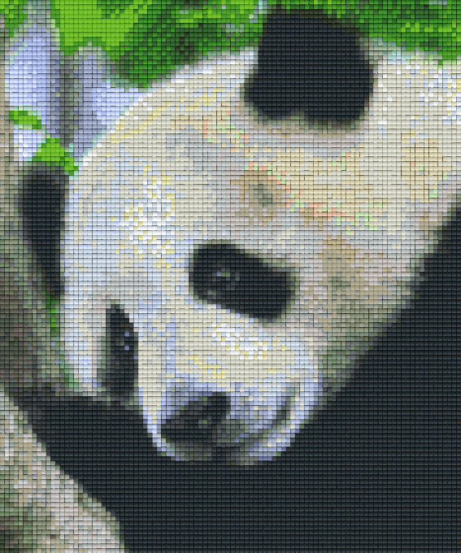 Pixelhobby Klassik Vorlage - Panda