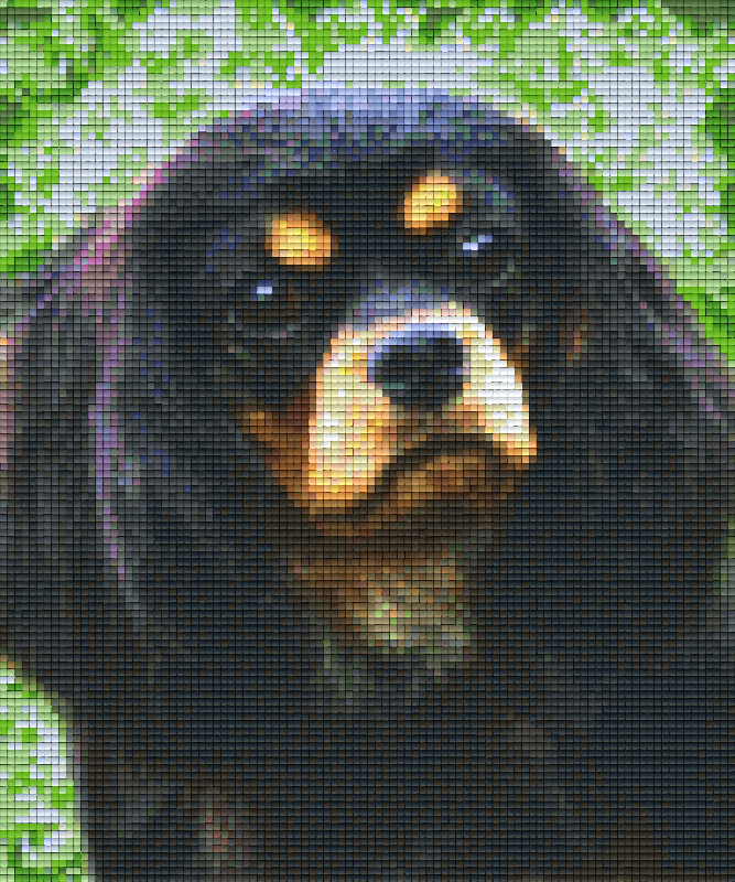 Pixelhobby Klassik Vorlage - Spaniel