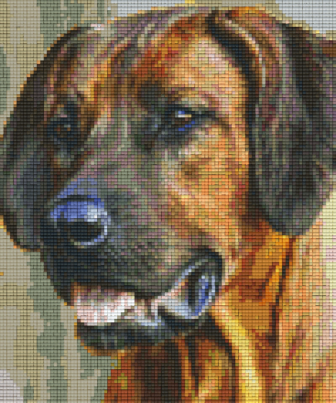 Pixelhobby Klassik Set - Ridgeback