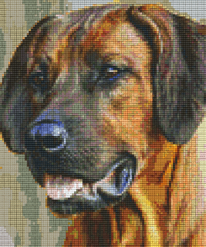 Pixelhobby Klassik Vorlage - Hund