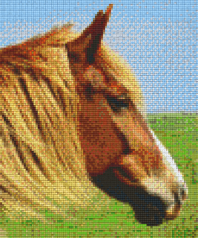 Pixelhobby Klassik Vorlage - Pferdekopf