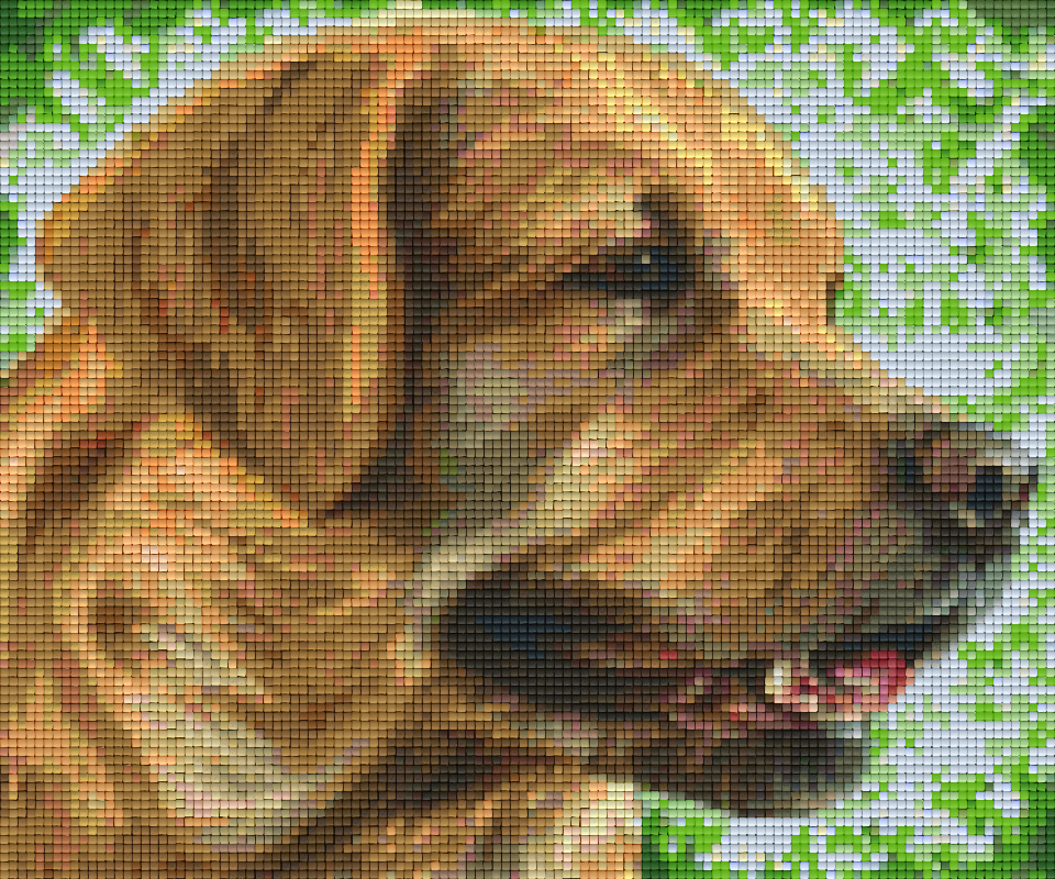 Pixelhobby Klassik Vorlage - Golden Retriever Kopf