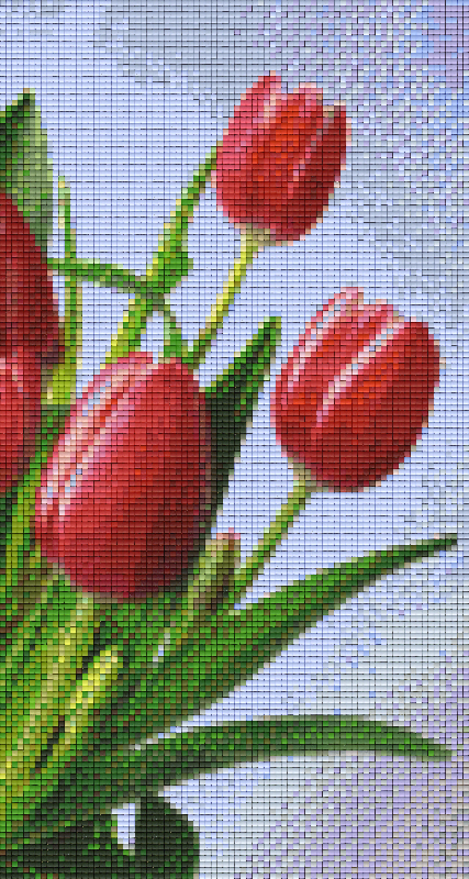 Pixelhobby Klassik Vorlage - Tulpe