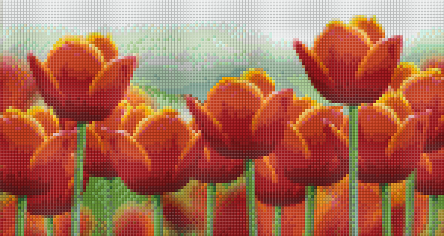 Pixelhobby Klassik Vorlage - rotes tulpenfeld