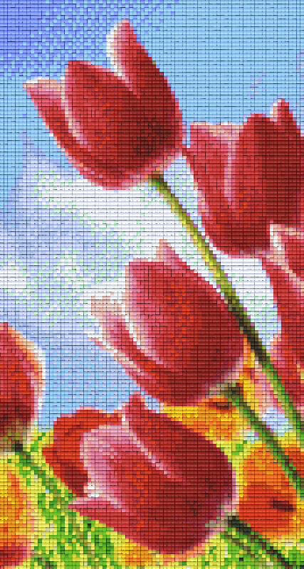 Pixelhobby Klassik Vorlage - Tulpen