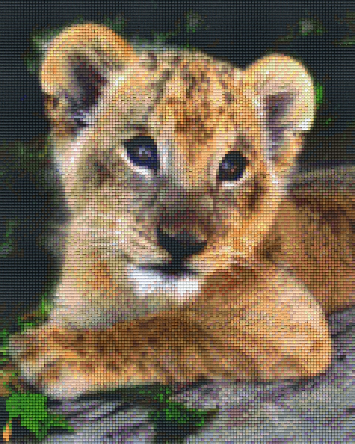 Pixelhobby Klassik Vorlage - Tigerbaby