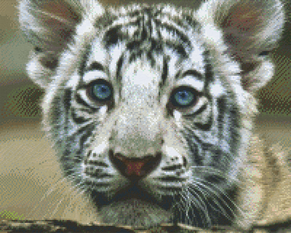 Pixelhobby Klassik Vorlage - weißes Tigerbaby