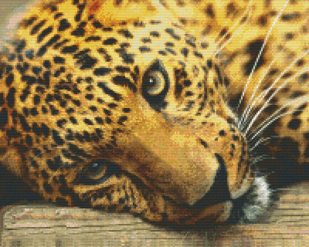 Pixelhobby Klassik Vorlage - Leopard