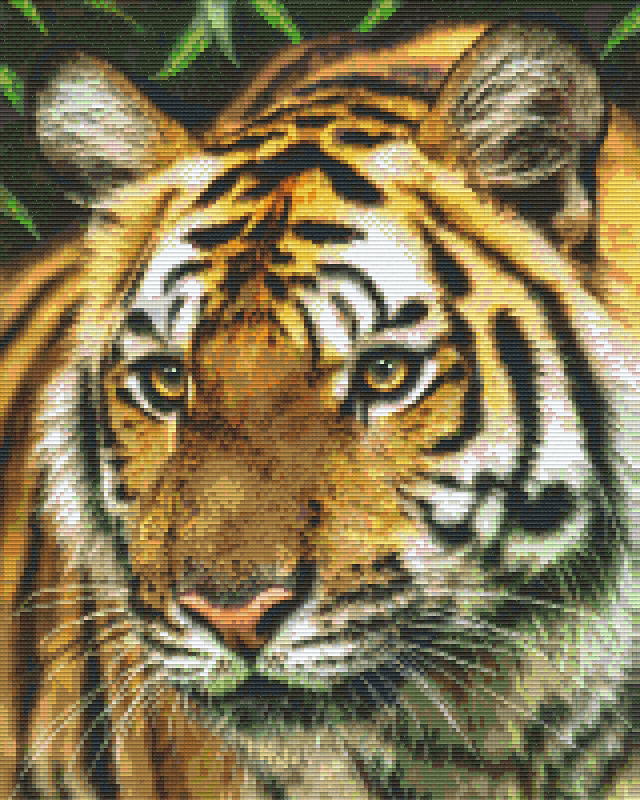 Pixelhobby Klassik Vorlage - Tigerkopf