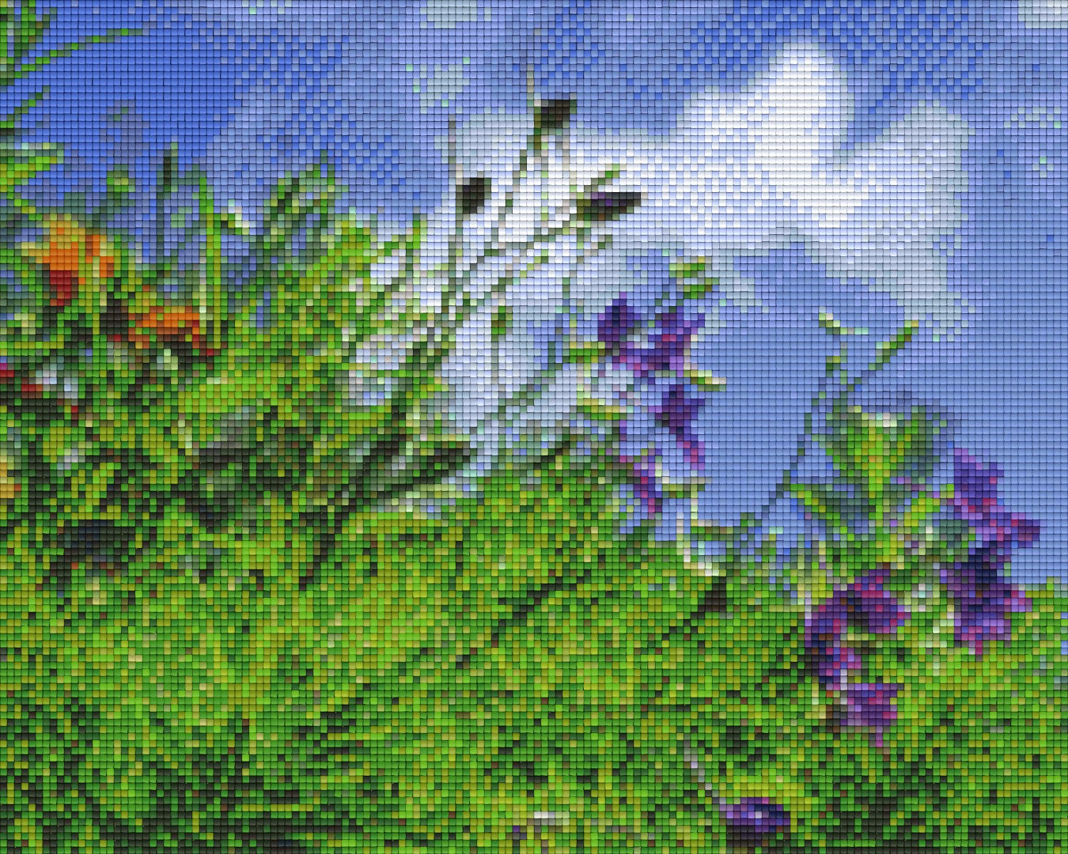 Pixelhobby Klassik Vorlage - Sommerwiese