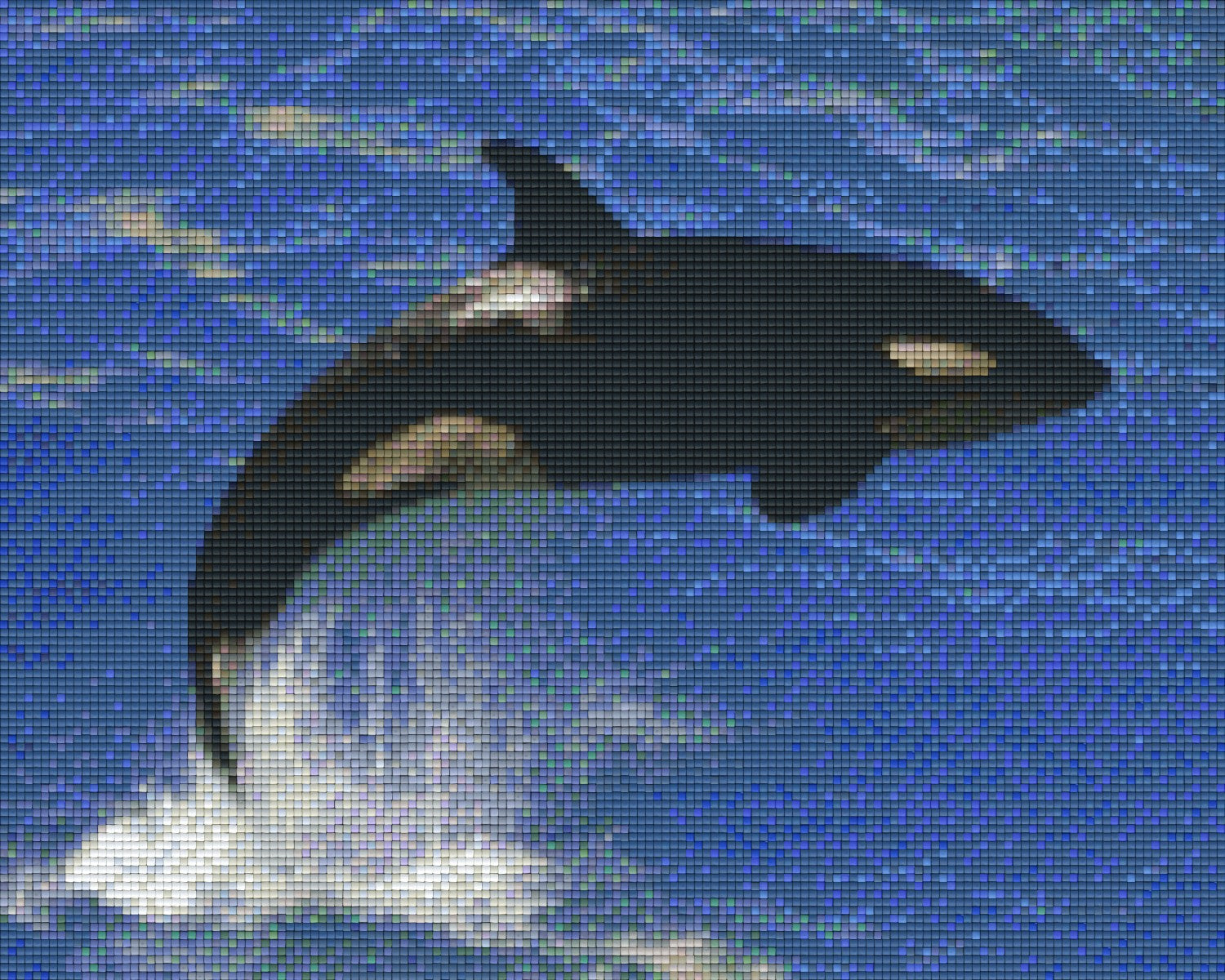 Pixelhobby Klassik Vorlage - Orca